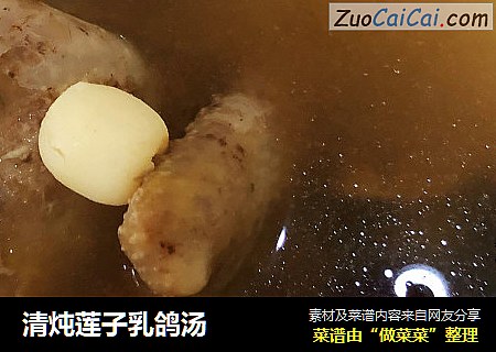 清炖莲子乳鸽汤