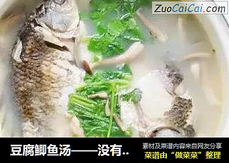 豆腐鲫鱼汤——没有什么是他解决不了的