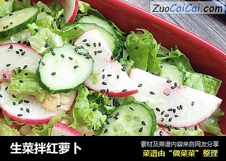 生菜拌红萝卜