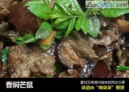 香焖芒鼠