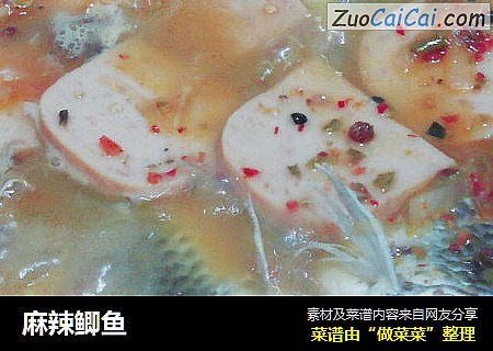 麻辣鲫鱼