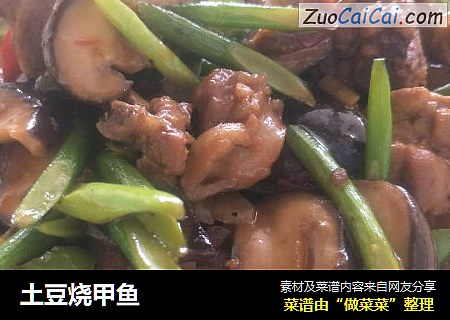 土豆烧甲鱼