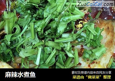 麻辣水煮鱼