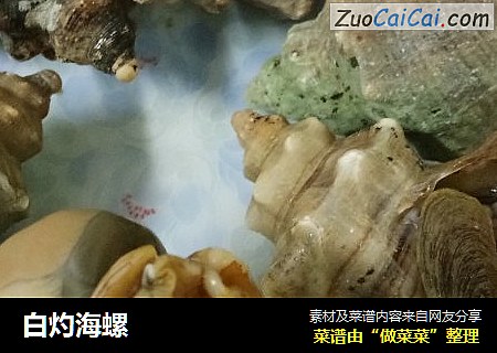 白灼海螺