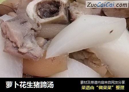萝卜花生猪蹄汤