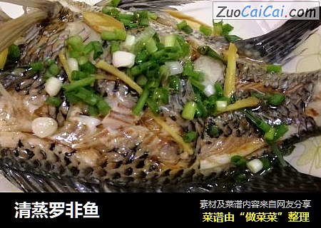 清蒸罗非鱼