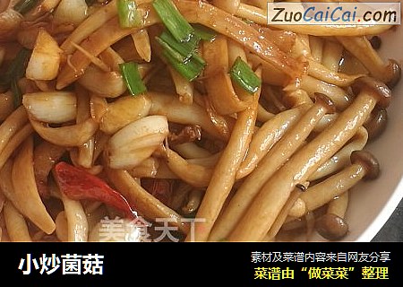 小炒菌菇