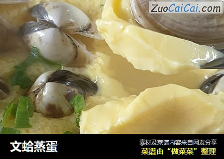 文蛤蒸蛋