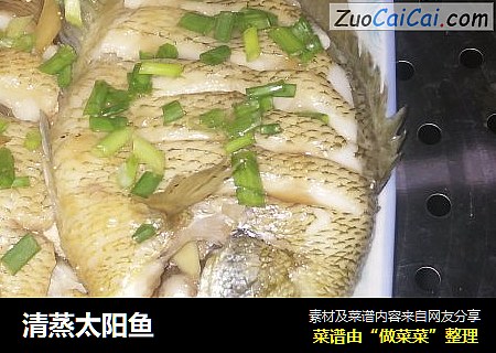 清蒸太阳鱼
