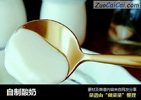 自制酸奶