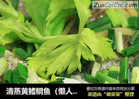 清蒸黄鳍鲷鱼（懒人版）