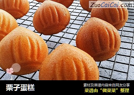 栗子蛋糕