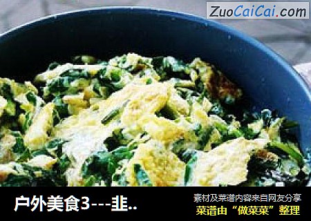 户外美食3---韭菜炒蛋
