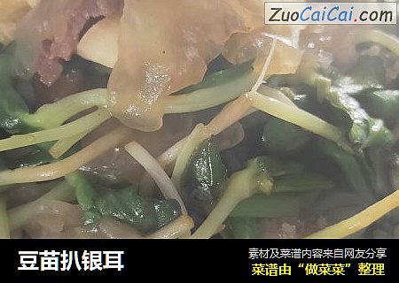 豆苗扒银耳