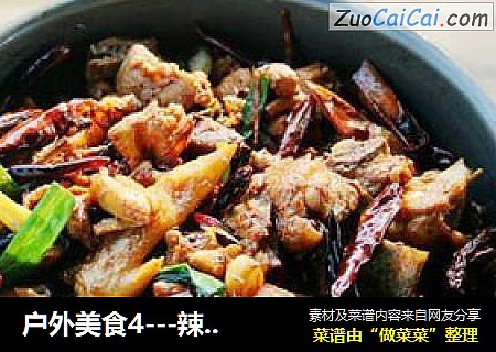 户外美食4－辣子鸡