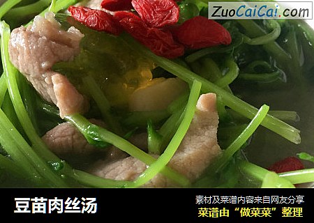 豆苗肉丝汤