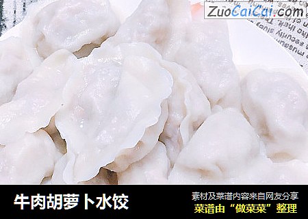 牛肉胡萝卜水饺