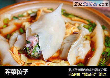 荠菜饺子