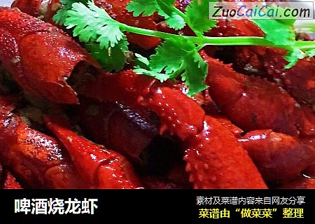 啤酒烧龙虾