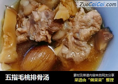 五指毛桃排骨汤