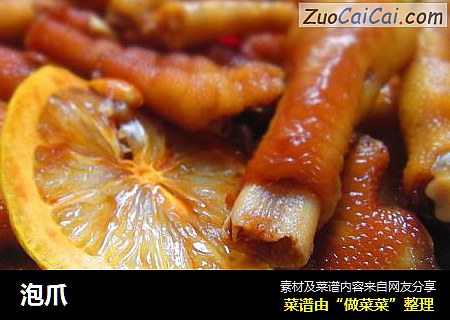 泡爪