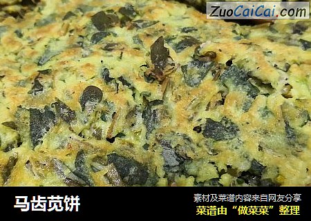 马齿苋饼