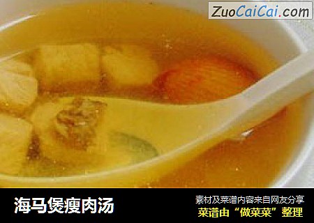 海马煲瘦肉汤