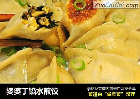 婆婆丁馅水煎饺