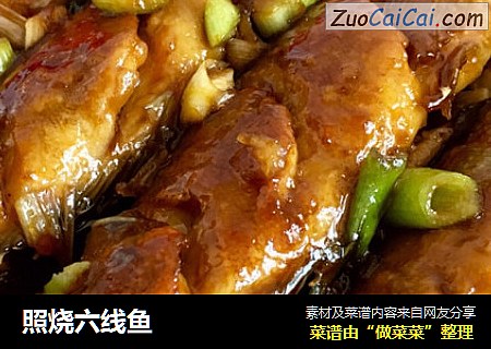 照烧六线鱼