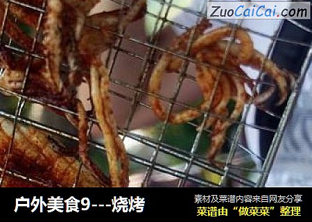 户外美食9---烧烤