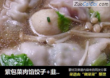 紫包菜肉馅饺子+韭菜花肉馅饺子