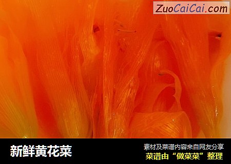 新鲜黄花菜