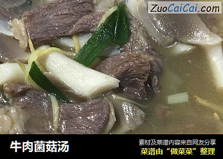 牛肉菌菇汤