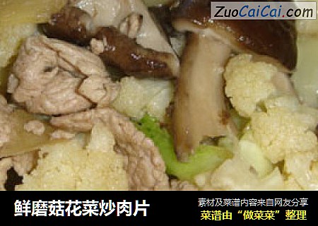 鲜磨菇花菜炒肉片