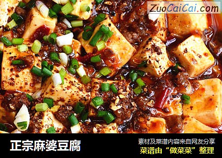 正宗麻婆豆腐