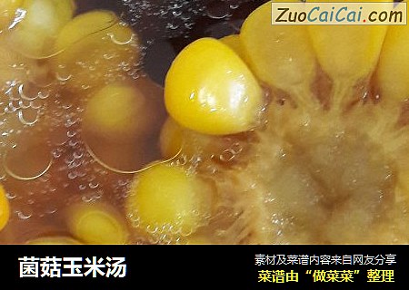 菌菇玉米汤
