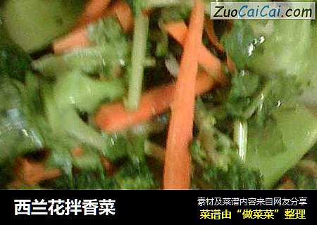 西兰花拌香菜