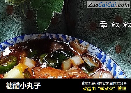 糖醋小丸子