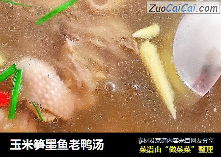 玉米笋墨鱼老鸭汤