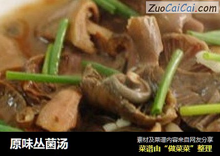 原味丛菌汤