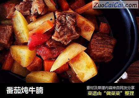 番茄炖牛腩