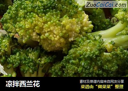 凉拌西兰花