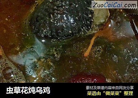 虫草花炖乌鸡