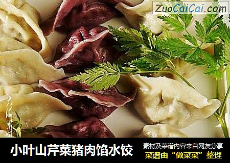 小叶山芹菜猪肉馅水饺