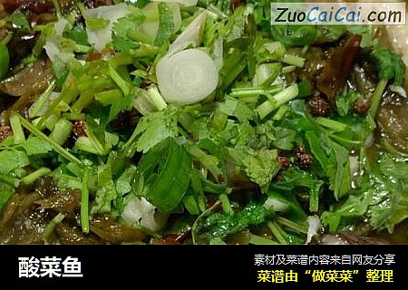 酸菜鱼