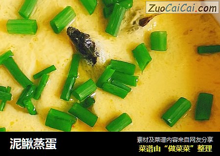 泥鳅蒸蛋