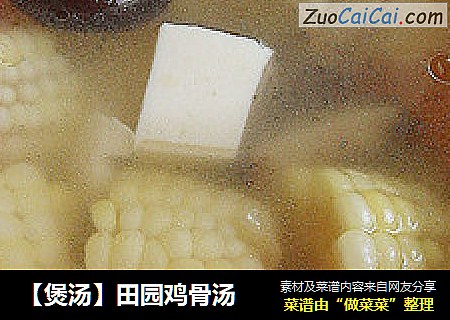 ［煲汤］田园鸡骨汤