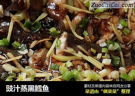豉汁蒸黑鳕鱼
