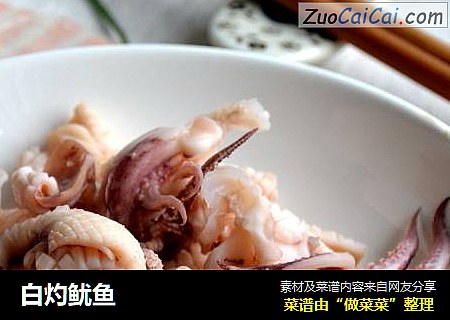 白灼鱿鱼
