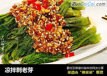 凉拌刺老芽